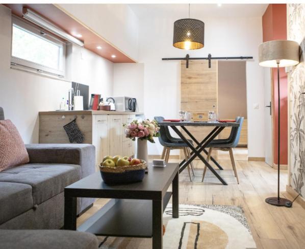 Ferienwohnung La Peniche De Fabrice Avec Jacuzzi Privatif Straßburg Zimmer foto